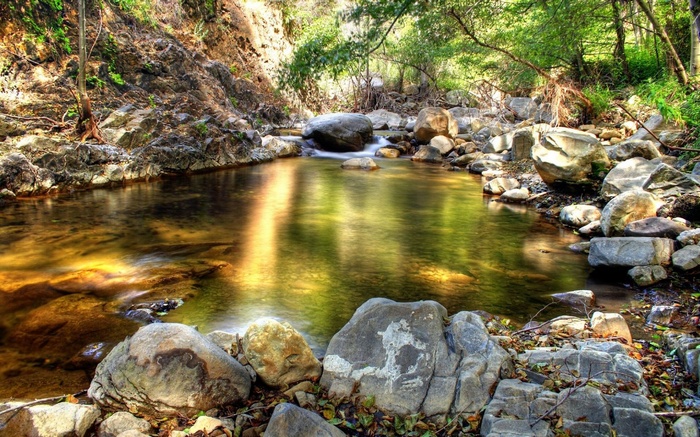 A clear stream flows through a rocky forest.