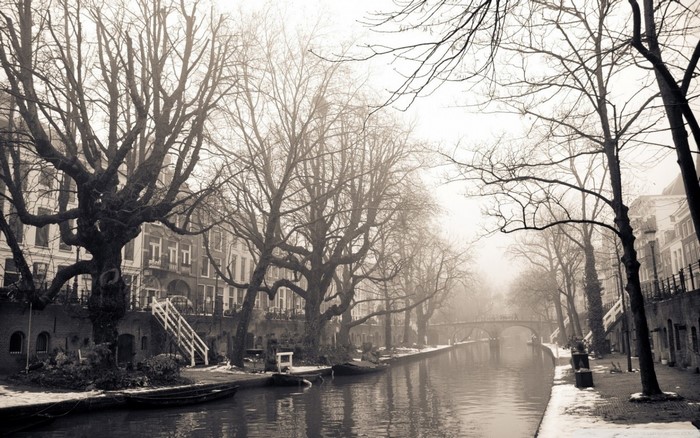 Winter canal in Utrecht with bare trees and buildings