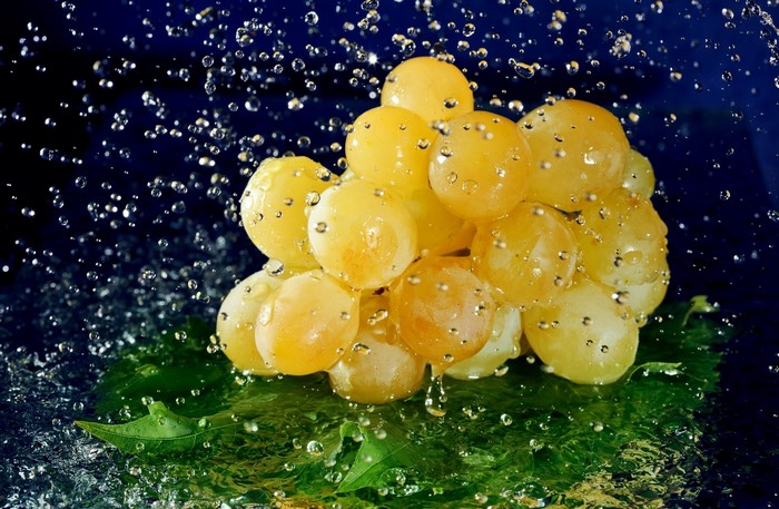 Yellow grapes with water drops on green leaves