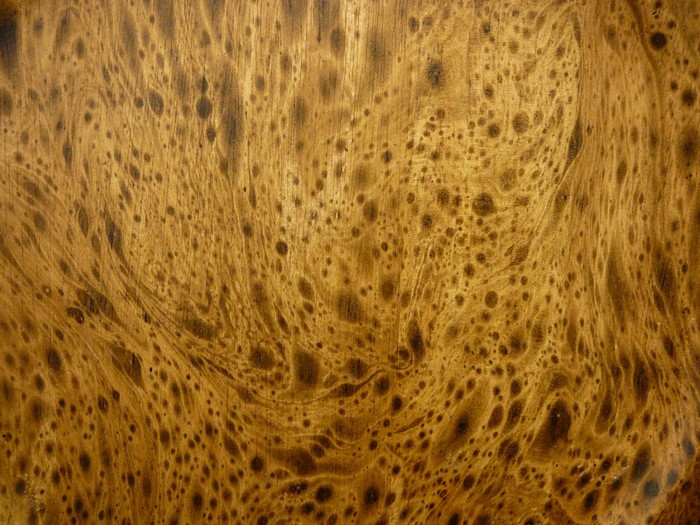 Close up of wood grain texture with dark spots