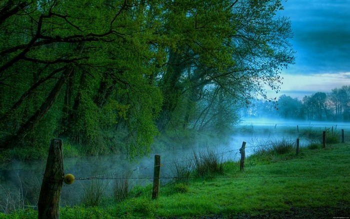 Misty morning by a river with trees and a fence