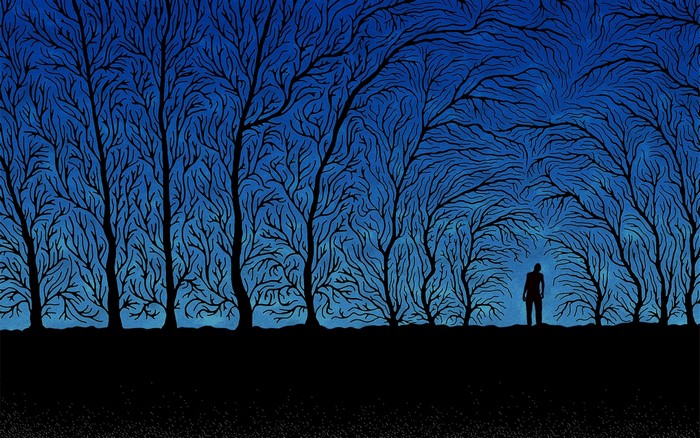 Silhouette of a person in a dark forest with blue sky