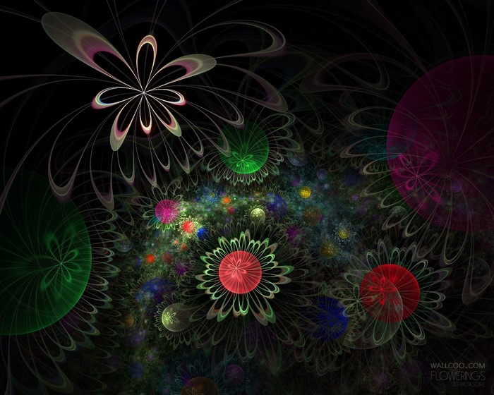 Abstract fractal flowers with dark background