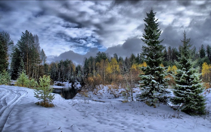 Snowy forest with a river and dark clouds