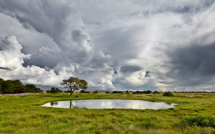 Stormy sky over a grassy field with a pond