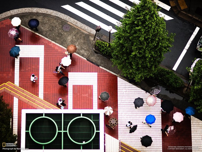People with umbrellas crossing a street in Japan