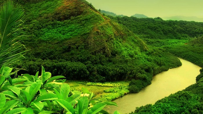 Lush Green Valley with River and Hills