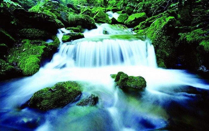 Serene Moss-Covered Waterfall in Lush Forest