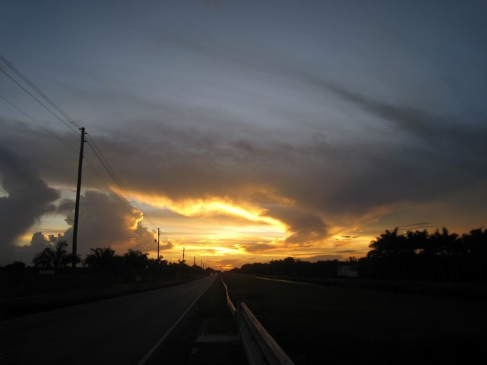 Sunset over a road with power lines and trees