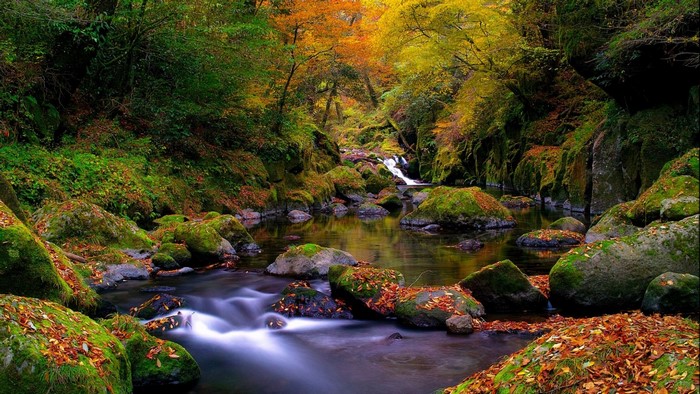 Autumn forest stream with mossy rocks and fallen leaves