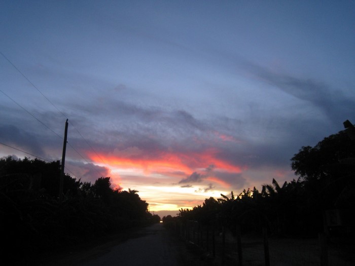 Sunset over a rural road with silhouetted trees