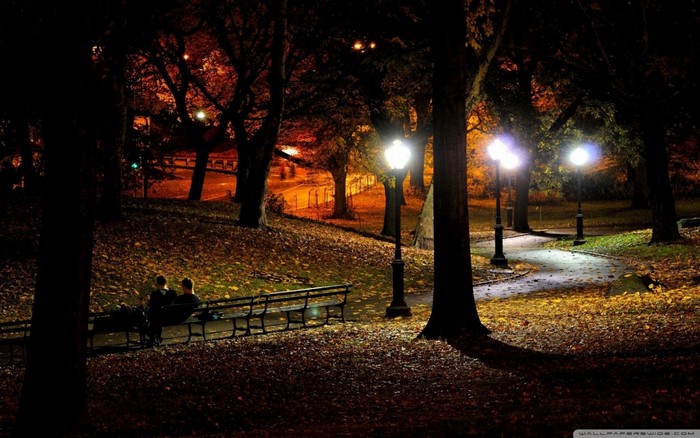 Park at night with couple on bench and streetlights