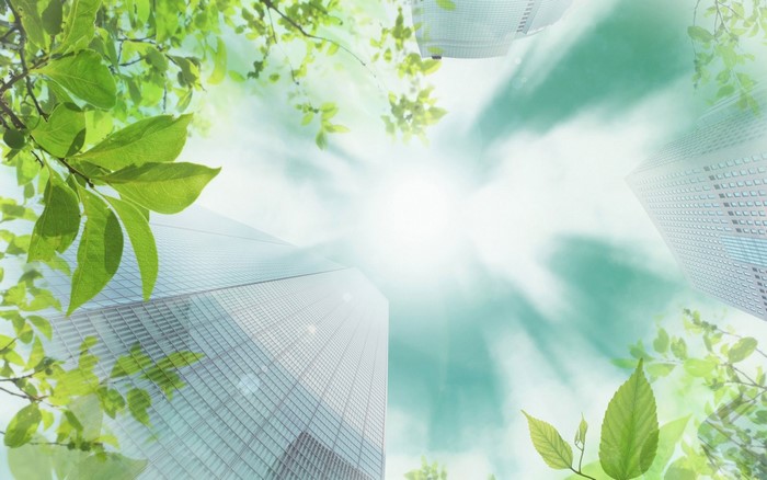 Green leaves and skyscrapers under bright sunlight