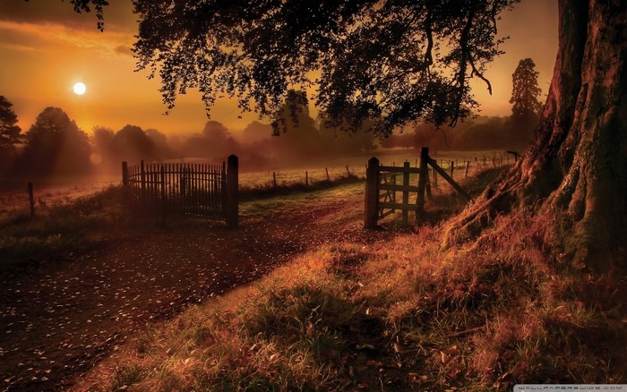 Misty sunrise over a rural landscape with gates