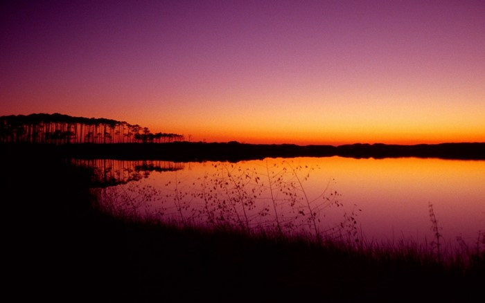 Sunset over a lake with silhouetted trees
