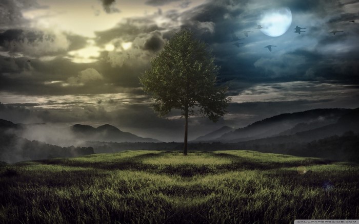 Lone tree on a hill under a cloudy sky with moon and birds