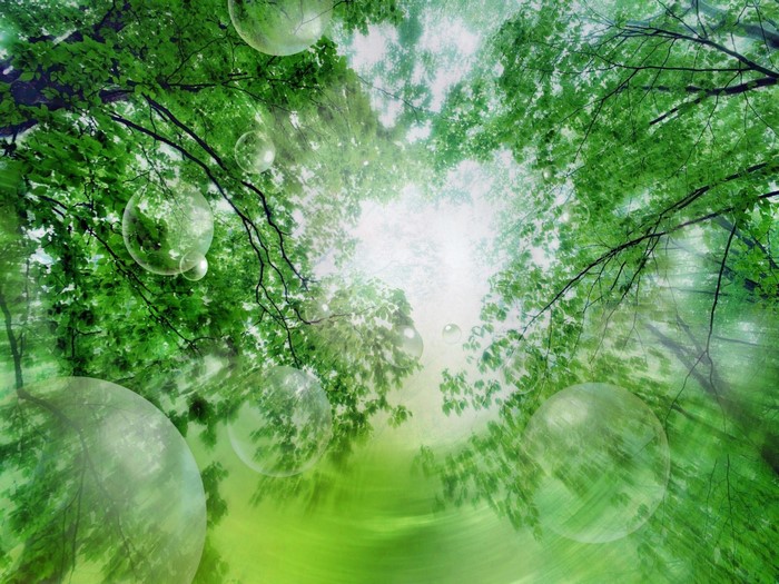 Bubbles floating in a green forest canopy