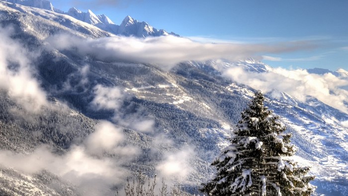 Snow-covered mountains with clouds and a pine tree
