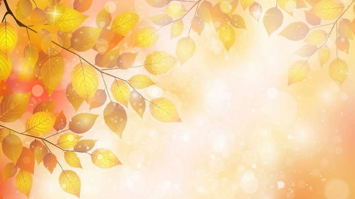 Autumn leaves on branches with sunlight and bokeh