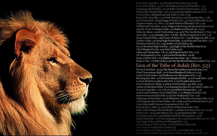 Lion of the Tribe of Judah with Bible Verses