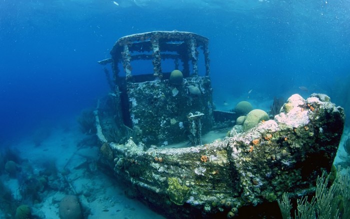 Underwater shipwreck covered in coral and marine life