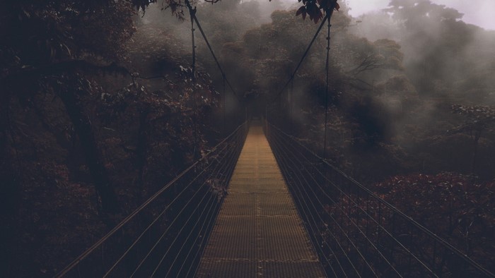 Suspension bridge in a misty forest