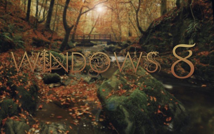 Windows 8 logo in an autumn forest