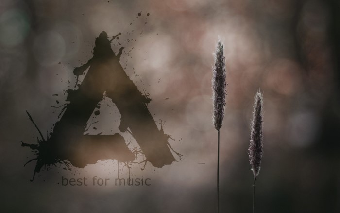 Aimp logo with grass and bokeh