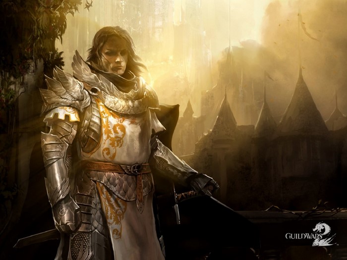Knight from Guild Wars 2