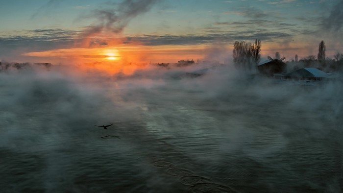 Misty sunrise over water with a bird flying