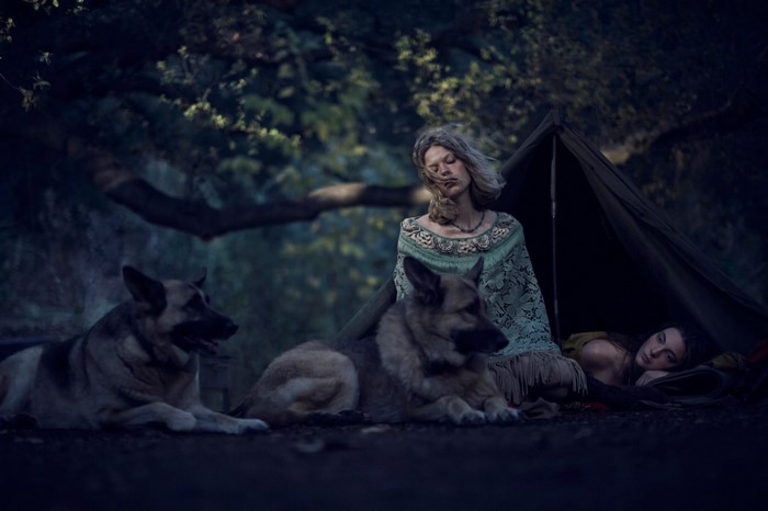 Women and dogs camping in a dark forest