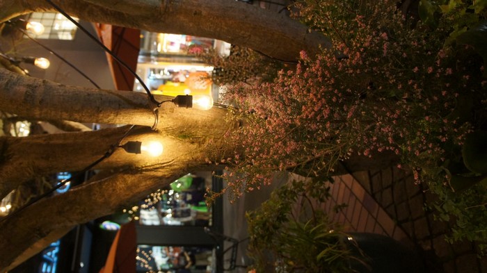 Outdoor restaurant lighting with trees and flowers at night