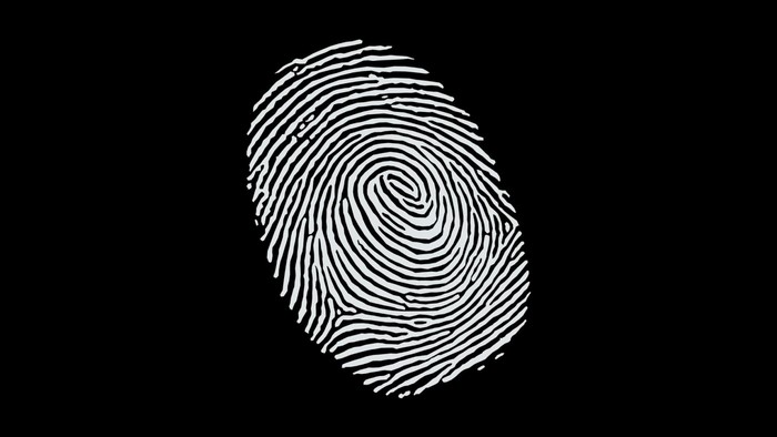 White fingerprint on black background