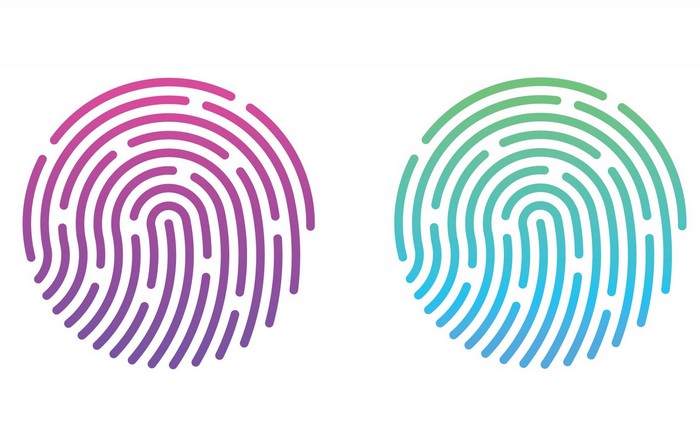 Two abstract fingerprint logos with gradient colors