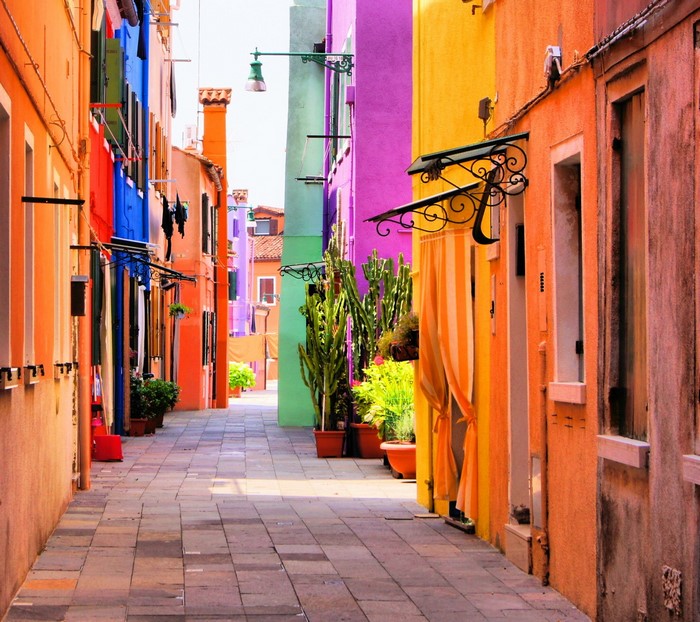 Colorful alleyway with potted plants and buildings