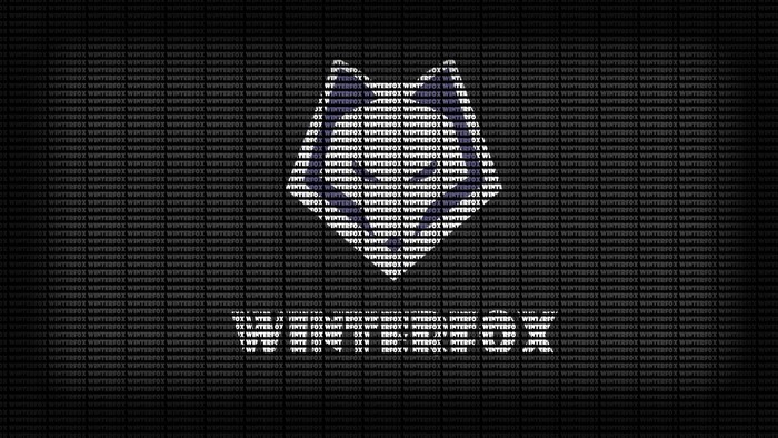 Winterfox logo and text on a dark background