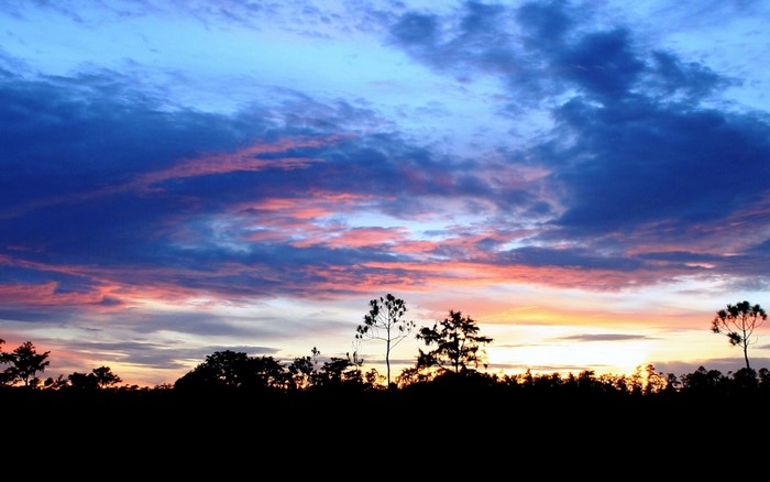 Silhouette of trees against a colorful sunset sky