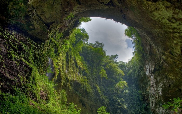 Cave opening with lush green vegetation and sky