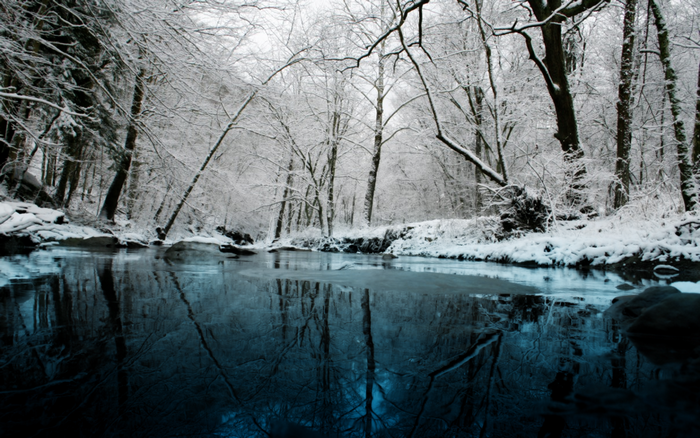 Snowy forest with a reflective river