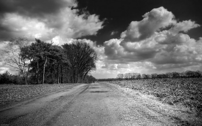 Dirt road through a field with trees and clouds