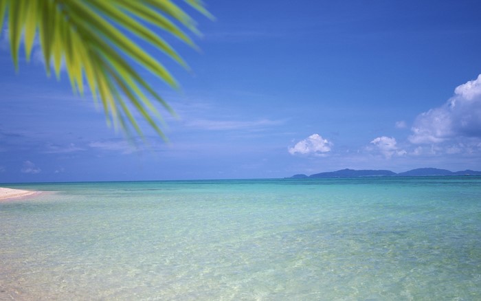 Tropical beach with clear turquoise water and blue sky