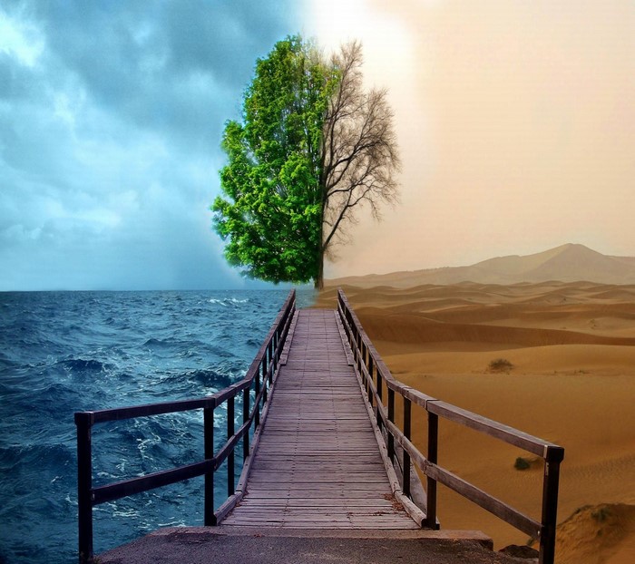 A bridge connects a lush ocean to a barren desert