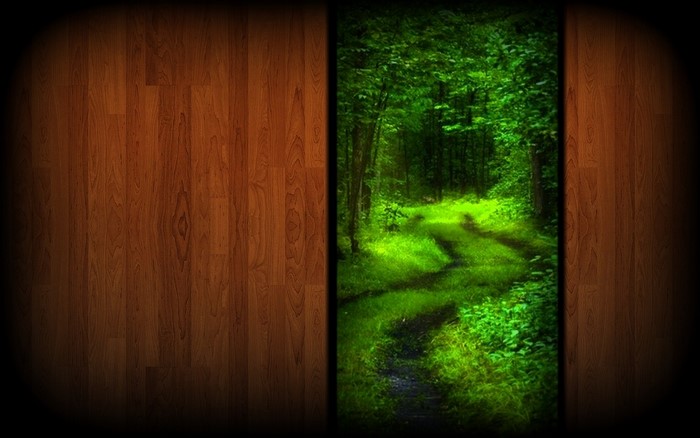 Forest path with wooden texture on the sides