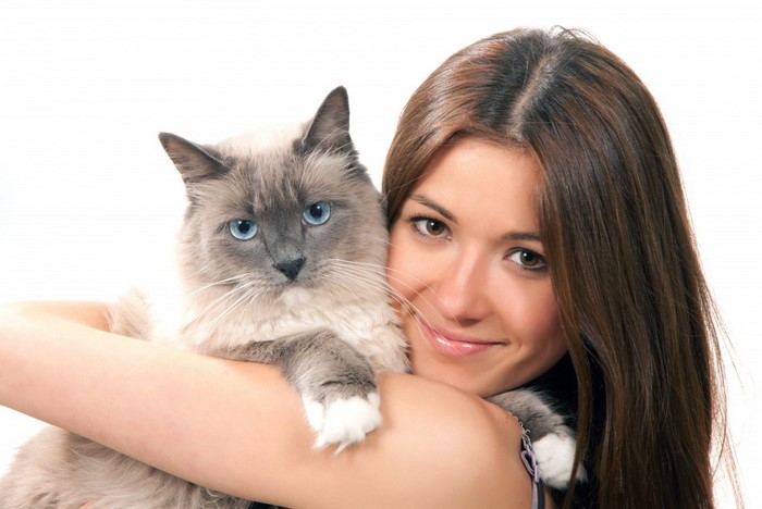 Woman holding a fluffy cat with blue eyes