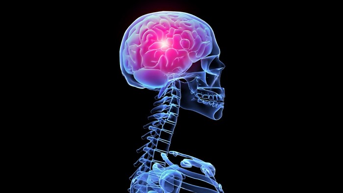 X-ray of human skull and brain with glowing area