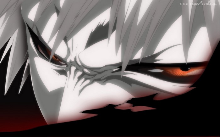Kurosaki Ichigo from Bleach