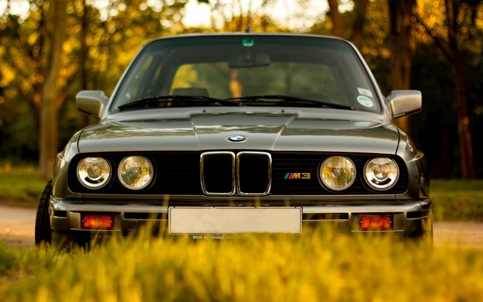 Front view of a gray BMW M3 E30 parked in grass