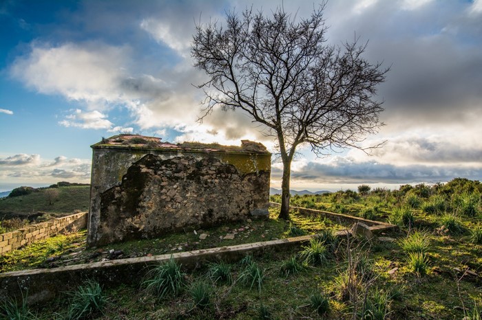 Ruins of a stone building with a bare tree and cloudy sky