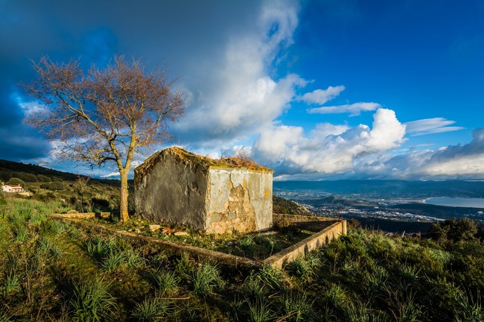Ruined building and tree on a hill overlooking a bay