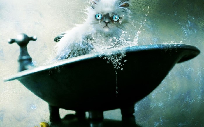 A fluffy white cat in a bathtub with water splashing